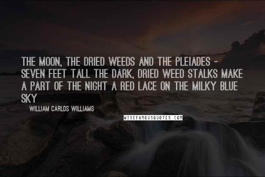 William Carlos Williams Quotes: The Moon, the dried weeds and the Pleiades - Seven feet tall the dark, dried weed stalks make a part of the night a red lace on the milky blue sky