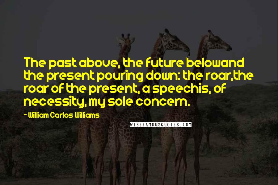 William Carlos Williams Quotes: The past above, the future belowand the present pouring down: the roar,the roar of the present, a speechis, of necessity, my sole concern.