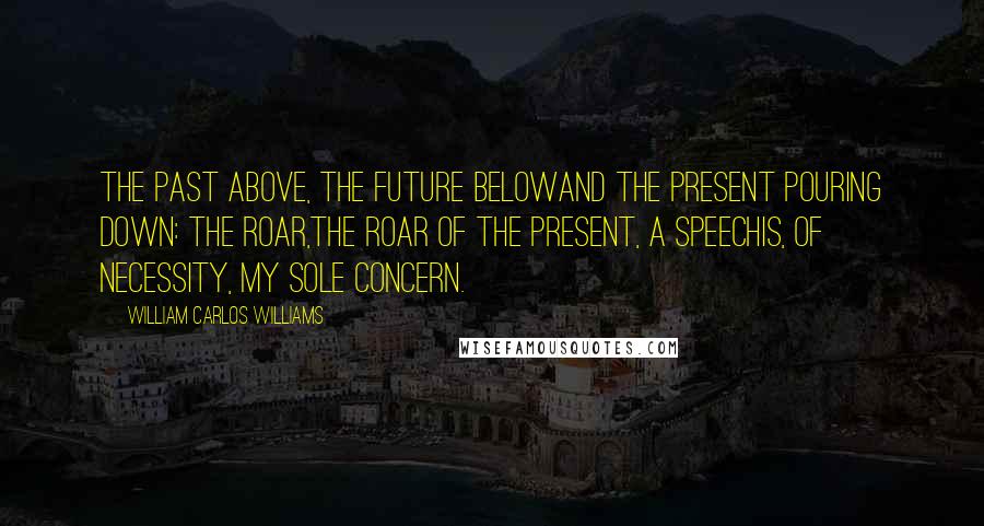 William Carlos Williams Quotes: The past above, the future belowand the present pouring down: the roar,the roar of the present, a speechis, of necessity, my sole concern.