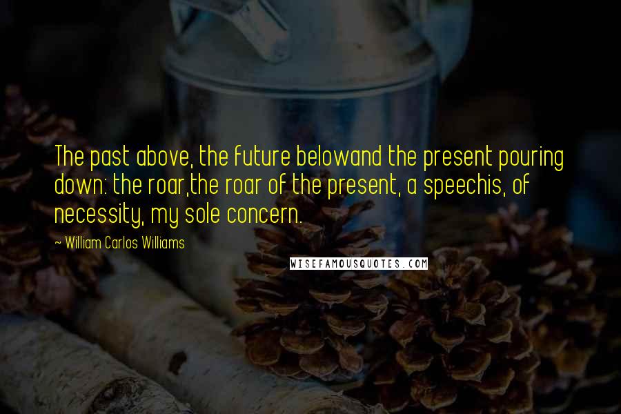 William Carlos Williams Quotes: The past above, the future belowand the present pouring down: the roar,the roar of the present, a speechis, of necessity, my sole concern.