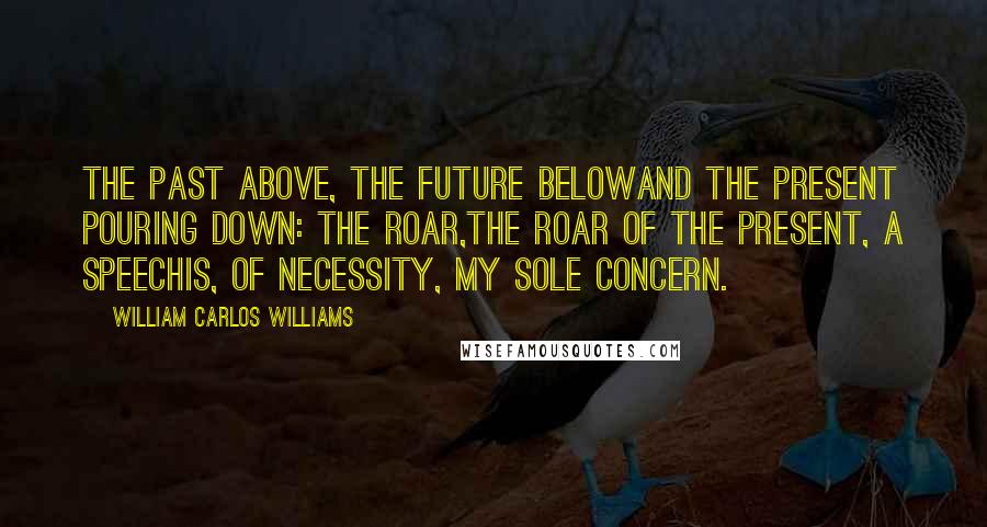 William Carlos Williams Quotes: The past above, the future belowand the present pouring down: the roar,the roar of the present, a speechis, of necessity, my sole concern.