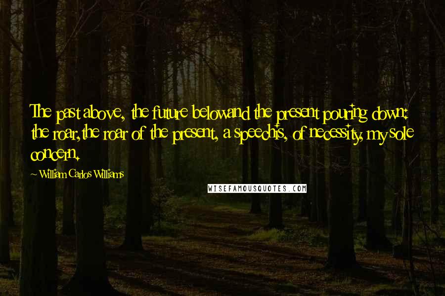 William Carlos Williams Quotes: The past above, the future belowand the present pouring down: the roar,the roar of the present, a speechis, of necessity, my sole concern.