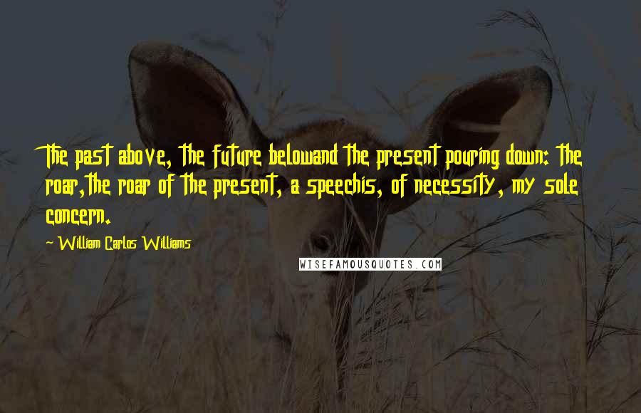 William Carlos Williams Quotes: The past above, the future belowand the present pouring down: the roar,the roar of the present, a speechis, of necessity, my sole concern.