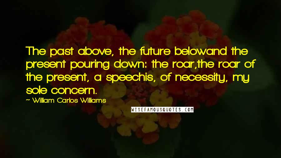 William Carlos Williams Quotes: The past above, the future belowand the present pouring down: the roar,the roar of the present, a speechis, of necessity, my sole concern.