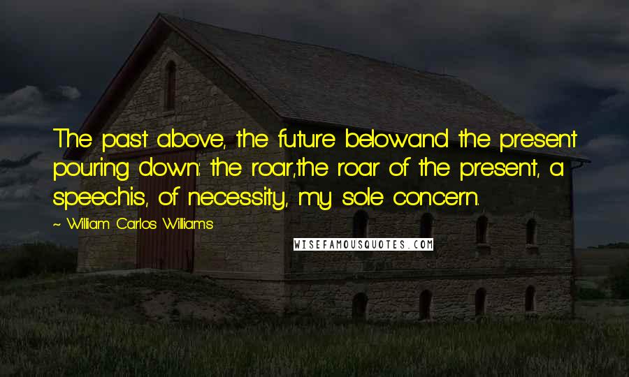 William Carlos Williams Quotes: The past above, the future belowand the present pouring down: the roar,the roar of the present, a speechis, of necessity, my sole concern.