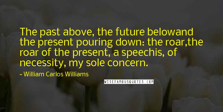 William Carlos Williams Quotes: The past above, the future belowand the present pouring down: the roar,the roar of the present, a speechis, of necessity, my sole concern.