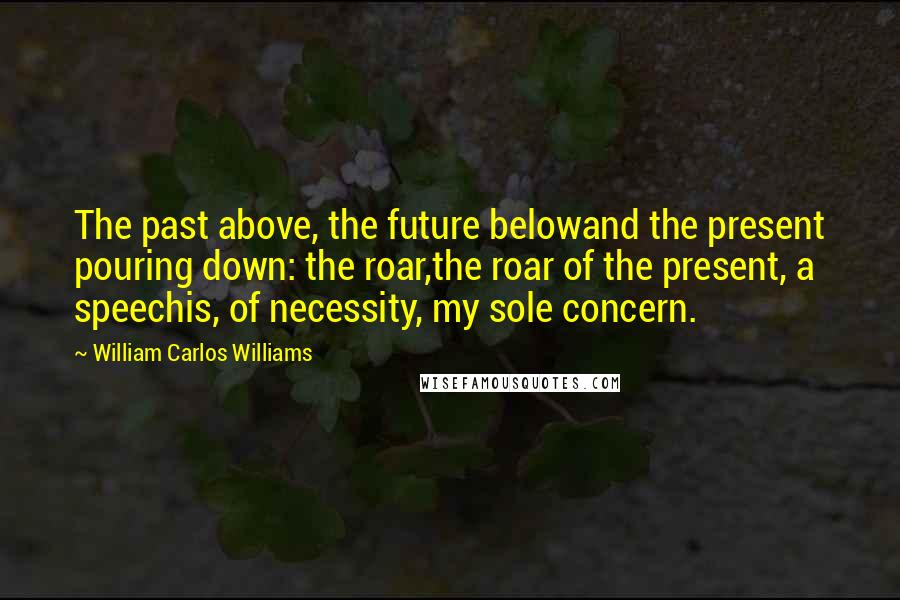 William Carlos Williams Quotes: The past above, the future belowand the present pouring down: the roar,the roar of the present, a speechis, of necessity, my sole concern.