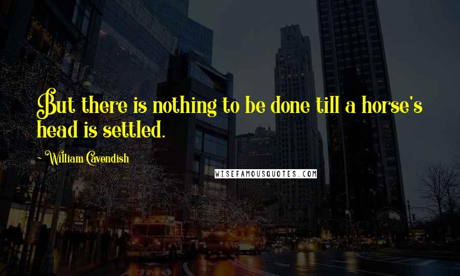 William Cavendish Quotes: But there is nothing to be done till a horse's head is settled.
