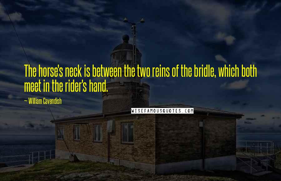 William Cavendish Quotes: The horse's neck is between the two reins of the bridle, which both meet in the rider's hand.