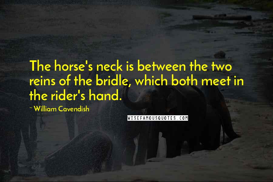 William Cavendish Quotes: The horse's neck is between the two reins of the bridle, which both meet in the rider's hand.