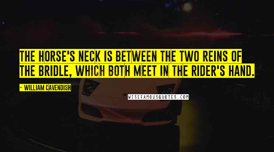 William Cavendish Quotes: The horse's neck is between the two reins of the bridle, which both meet in the rider's hand.