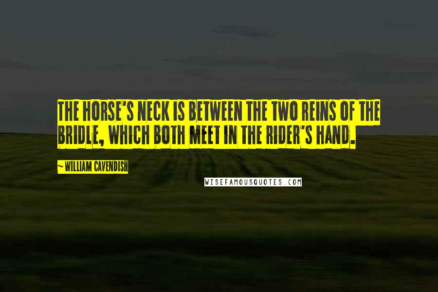 William Cavendish Quotes: The horse's neck is between the two reins of the bridle, which both meet in the rider's hand.