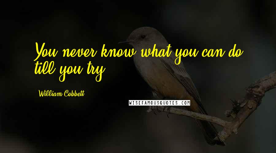 William Cobbett Quotes: You never know what you can do till you try.
