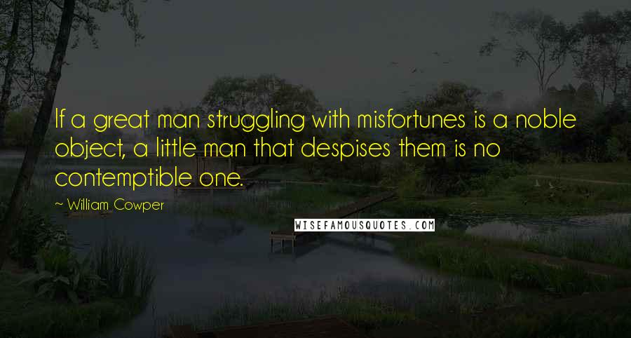 William Cowper Quotes: If a great man struggling with misfortunes is a noble object, a little man that despises them is no contemptible one.