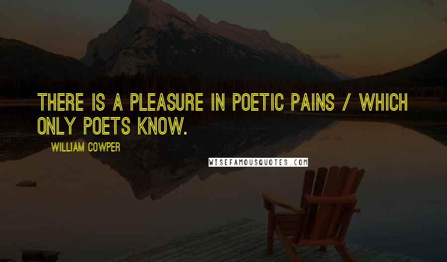William Cowper Quotes: There is a pleasure in poetic pains / Which only poets know.