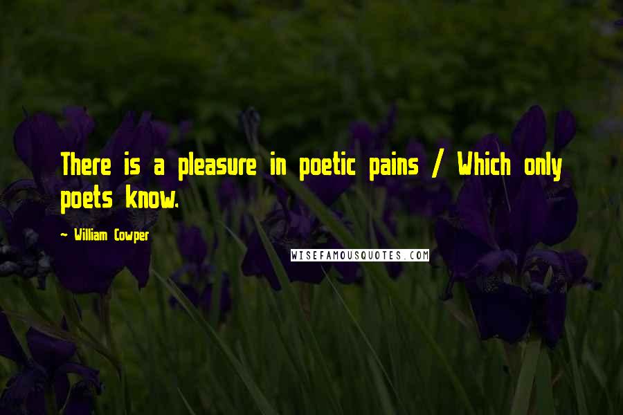 William Cowper Quotes: There is a pleasure in poetic pains / Which only poets know.