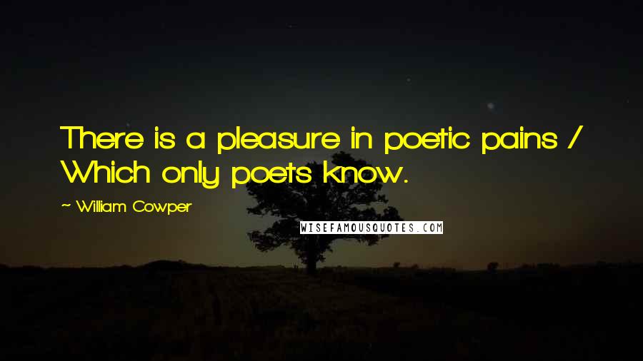 William Cowper Quotes: There is a pleasure in poetic pains / Which only poets know.