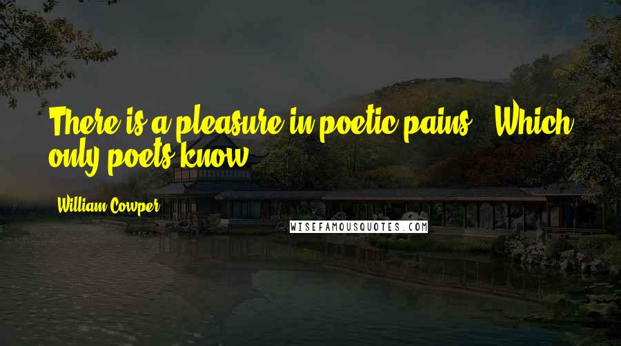 William Cowper Quotes: There is a pleasure in poetic pains / Which only poets know.