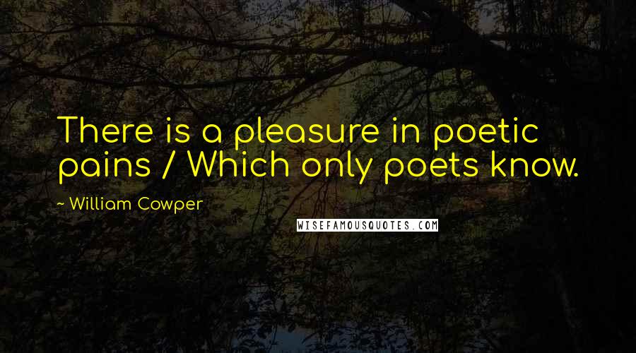 William Cowper Quotes: There is a pleasure in poetic pains / Which only poets know.