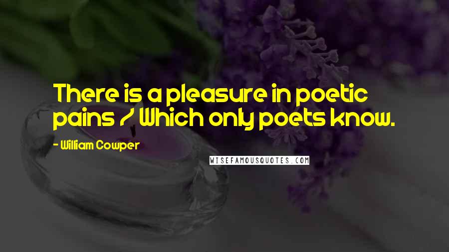 William Cowper Quotes: There is a pleasure in poetic pains / Which only poets know.