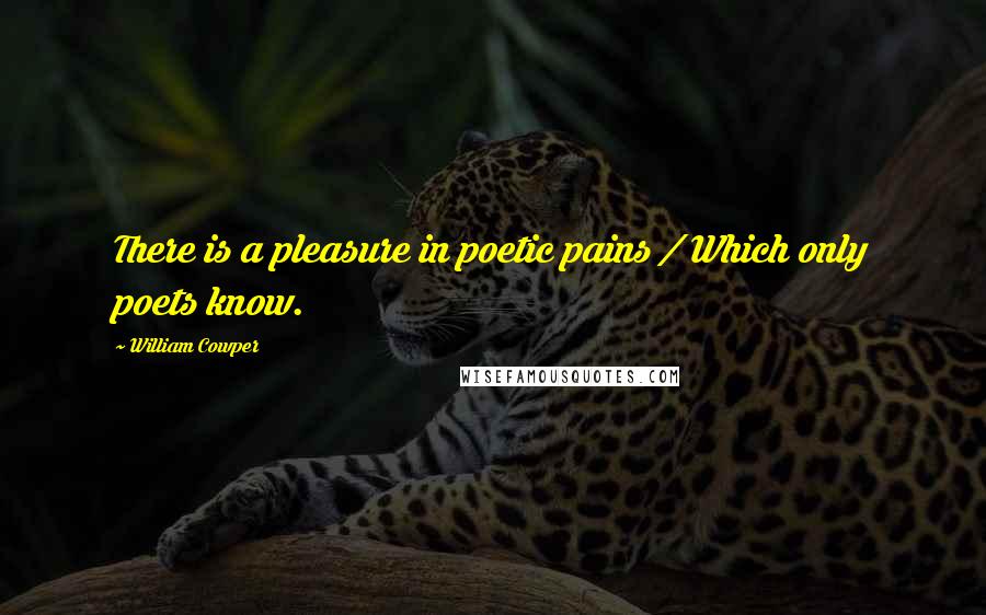 William Cowper Quotes: There is a pleasure in poetic pains / Which only poets know.