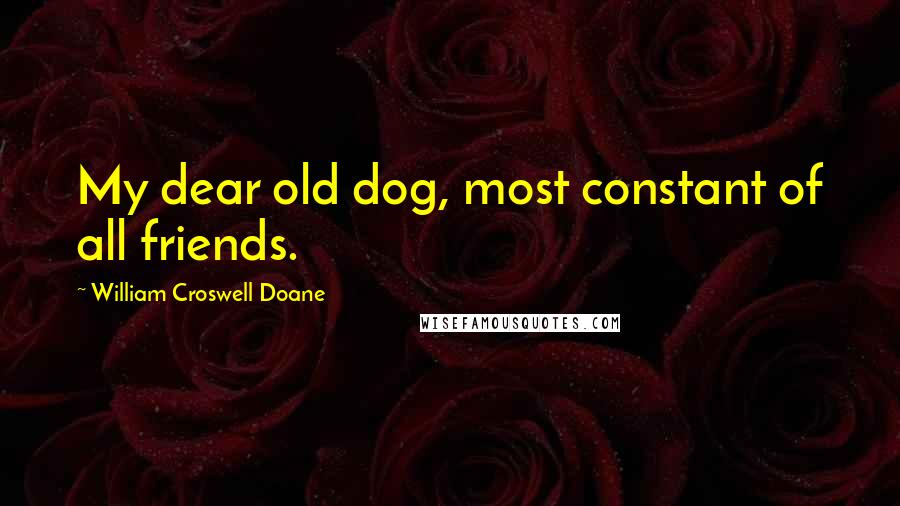 William Croswell Doane Quotes: My dear old dog, most constant of all friends.