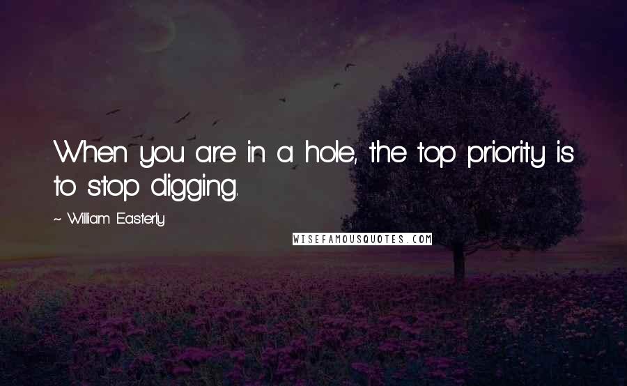 William Easterly Quotes: When you are in a hole, the top priority is to stop digging.