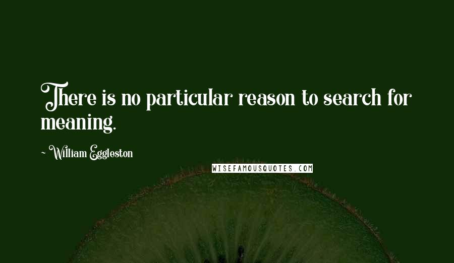 William Eggleston Quotes: There is no particular reason to search for meaning.