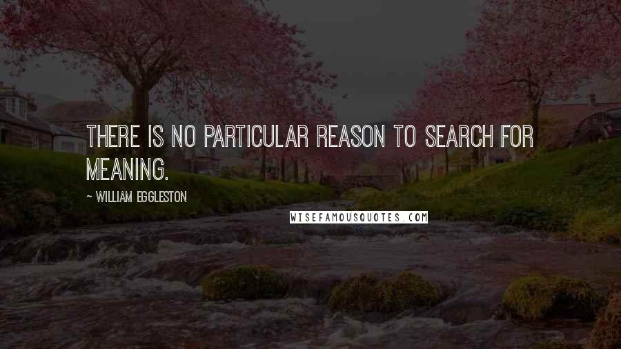 William Eggleston Quotes: There is no particular reason to search for meaning.