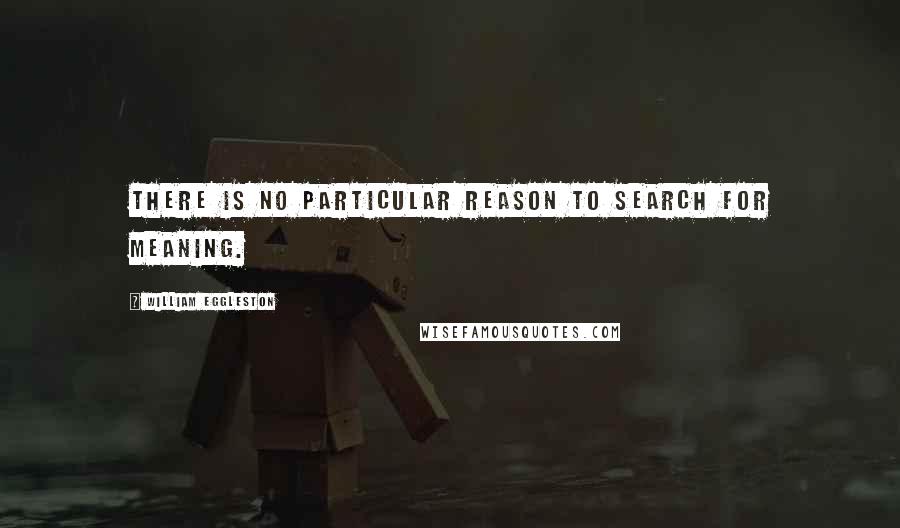 William Eggleston Quotes: There is no particular reason to search for meaning.