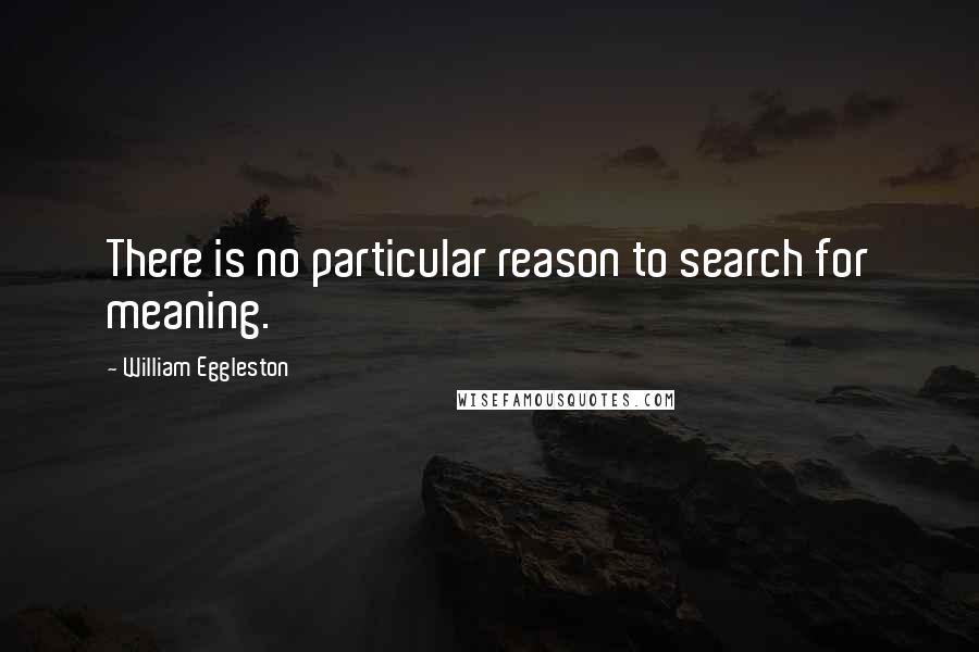 William Eggleston Quotes: There is no particular reason to search for meaning.