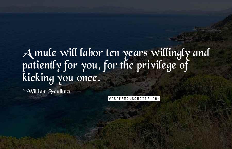 William Faulkner Quotes: A mule will labor ten years willingly and patiently for you, for the privilege of kicking you once.