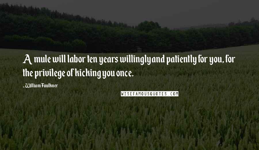 William Faulkner Quotes: A mule will labor ten years willingly and patiently for you, for the privilege of kicking you once.