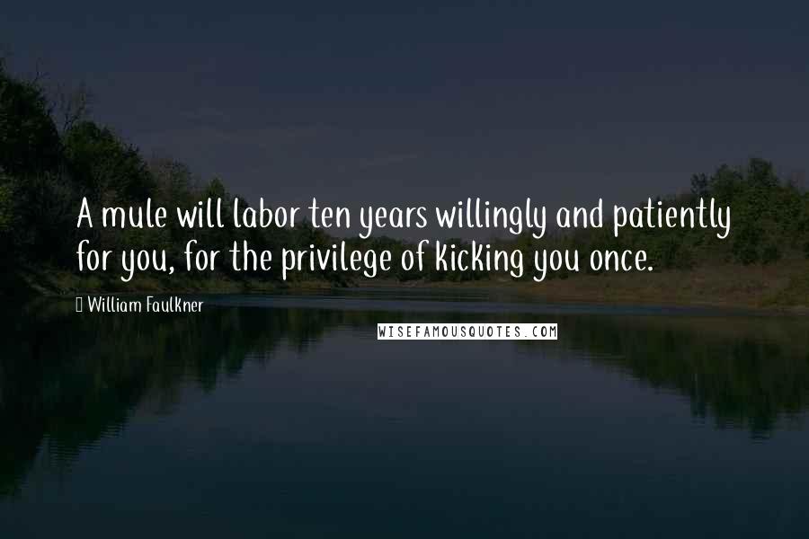William Faulkner Quotes: A mule will labor ten years willingly and patiently for you, for the privilege of kicking you once.