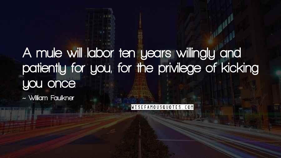 William Faulkner Quotes: A mule will labor ten years willingly and patiently for you, for the privilege of kicking you once.