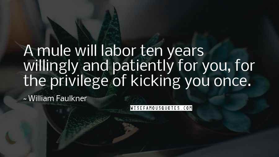William Faulkner Quotes: A mule will labor ten years willingly and patiently for you, for the privilege of kicking you once.