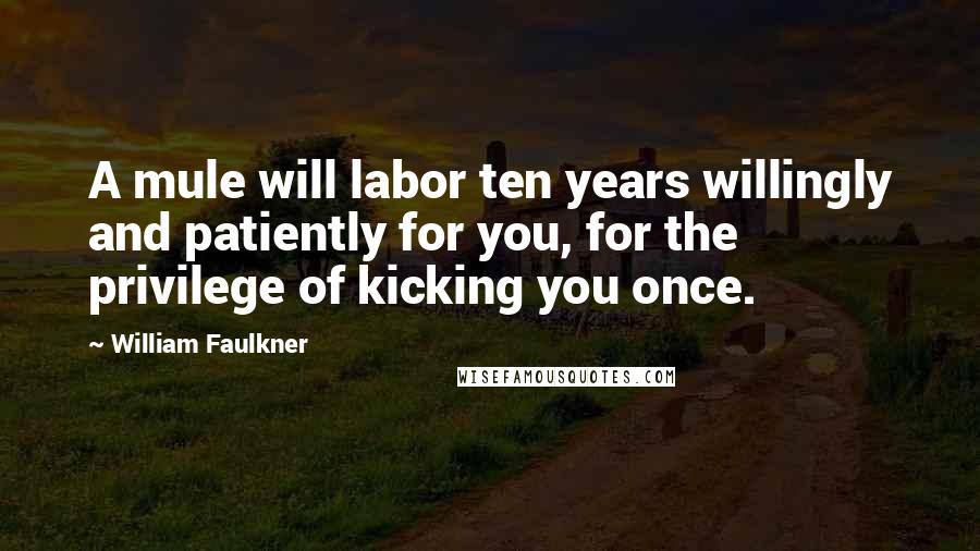 William Faulkner Quotes: A mule will labor ten years willingly and patiently for you, for the privilege of kicking you once.
