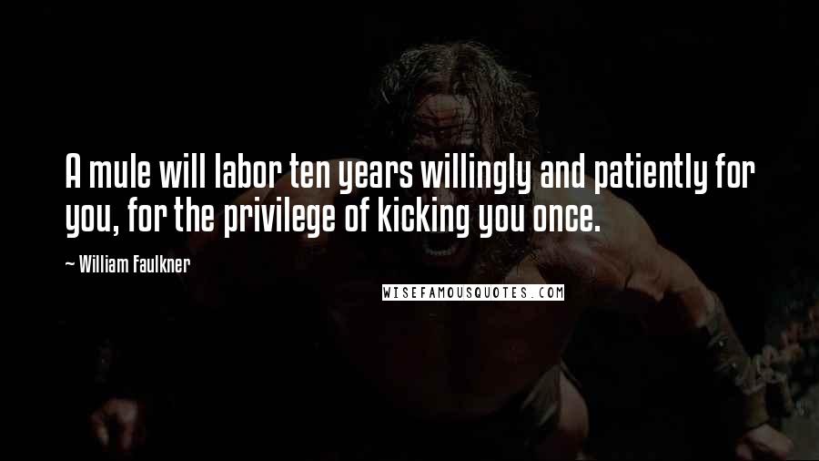 William Faulkner Quotes: A mule will labor ten years willingly and patiently for you, for the privilege of kicking you once.