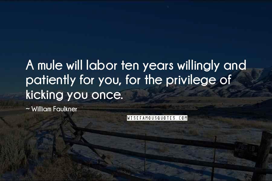 William Faulkner Quotes: A mule will labor ten years willingly and patiently for you, for the privilege of kicking you once.