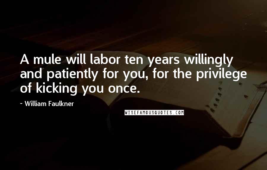 William Faulkner Quotes: A mule will labor ten years willingly and patiently for you, for the privilege of kicking you once.