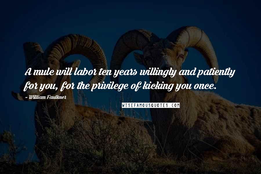 William Faulkner Quotes: A mule will labor ten years willingly and patiently for you, for the privilege of kicking you once.