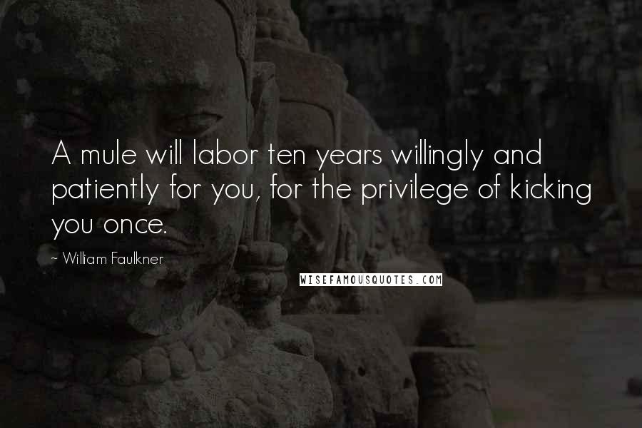 William Faulkner Quotes: A mule will labor ten years willingly and patiently for you, for the privilege of kicking you once.