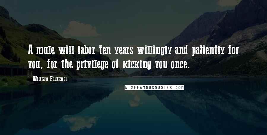 William Faulkner Quotes: A mule will labor ten years willingly and patiently for you, for the privilege of kicking you once.