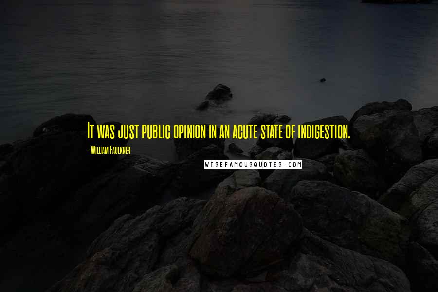 William Faulkner Quotes: It was just public opinion in an acute state of indigestion.
