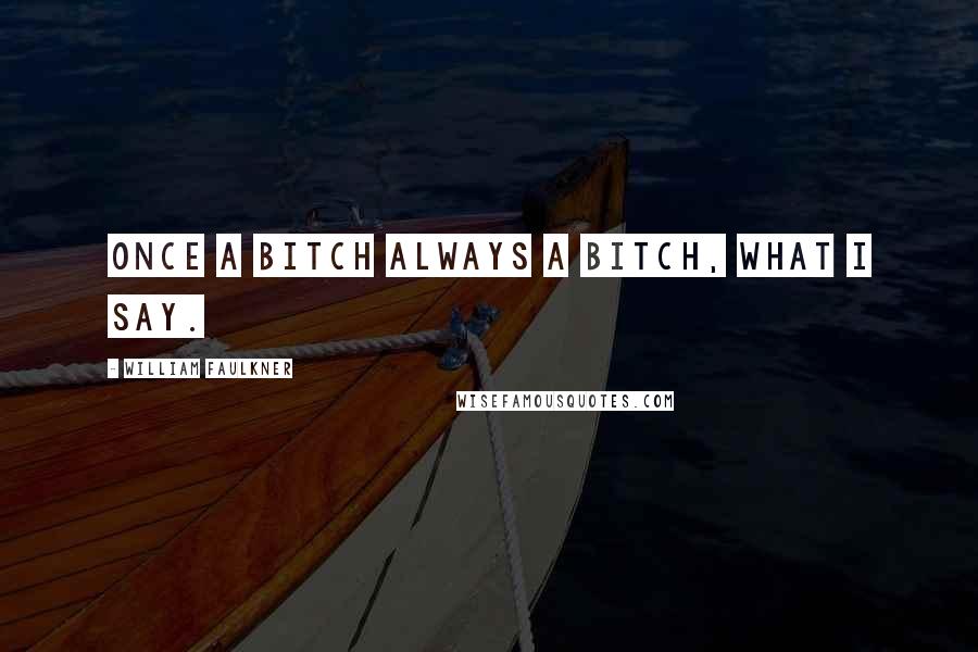 William Faulkner Quotes: Once a bitch always a bitch, what I say.