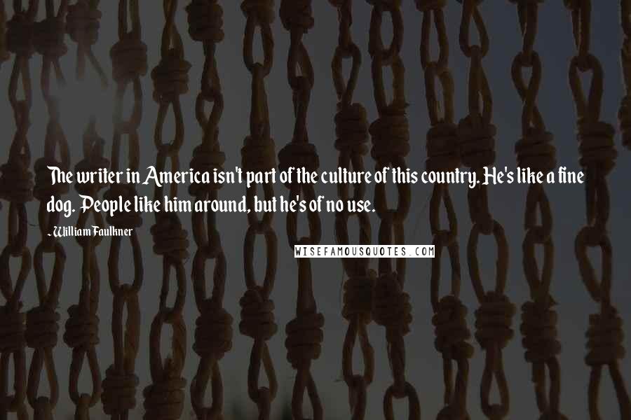 William Faulkner Quotes: The writer in America isn't part of the culture of this country. He's like a fine dog. People like him around, but he's of no use.