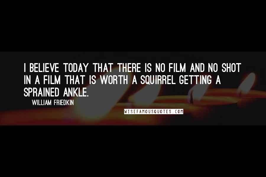 William Friedkin Quotes: I believe today that there is no film and no shot in a film that is worth a squirrel getting a sprained ankle.
