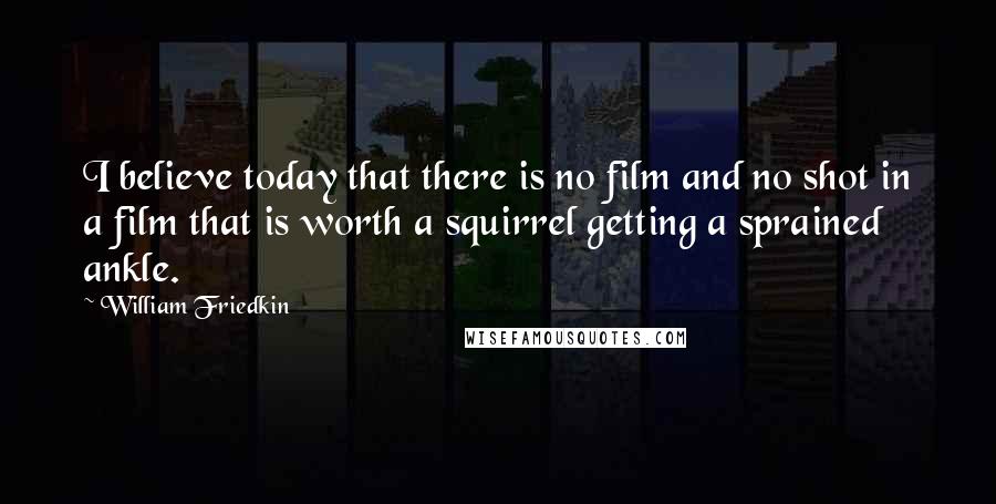 William Friedkin Quotes: I believe today that there is no film and no shot in a film that is worth a squirrel getting a sprained ankle.
