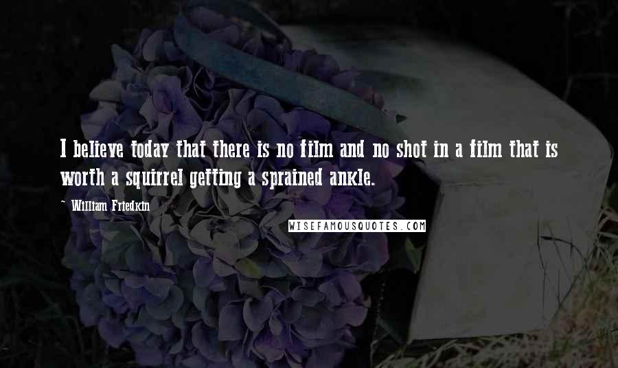 William Friedkin Quotes: I believe today that there is no film and no shot in a film that is worth a squirrel getting a sprained ankle.