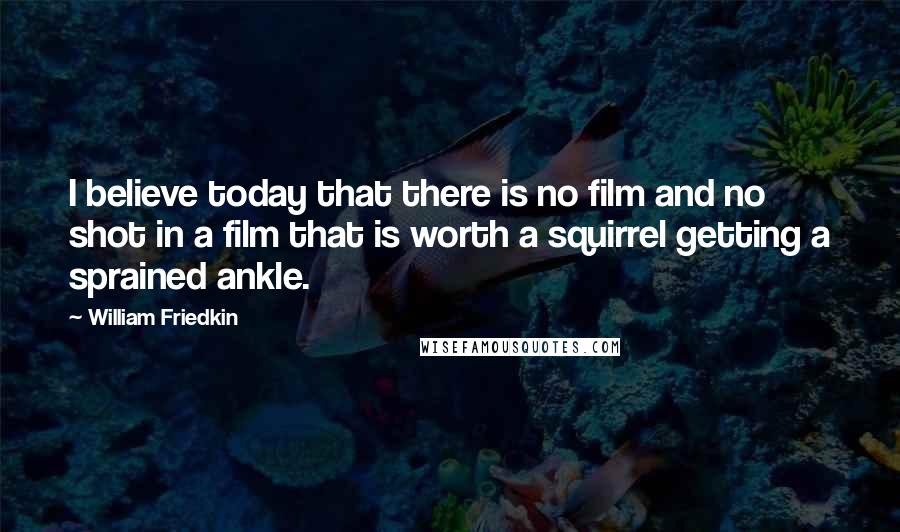 William Friedkin Quotes: I believe today that there is no film and no shot in a film that is worth a squirrel getting a sprained ankle.